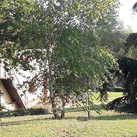 I Fagiani B&B Rimini Ngoại thất bức ảnh